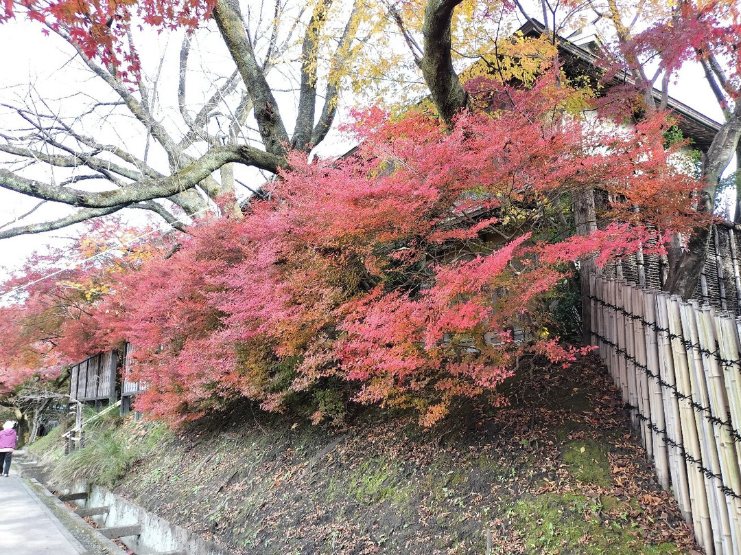 Ochaya Yashiki Trace-大垣市必去景点