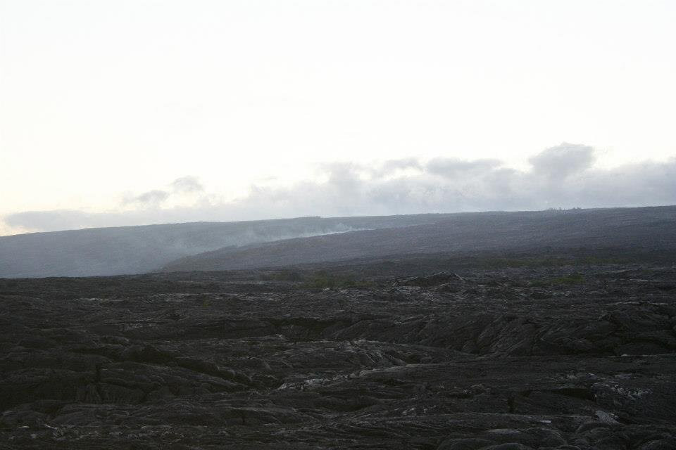 Native Hawaiian Lava景点图片