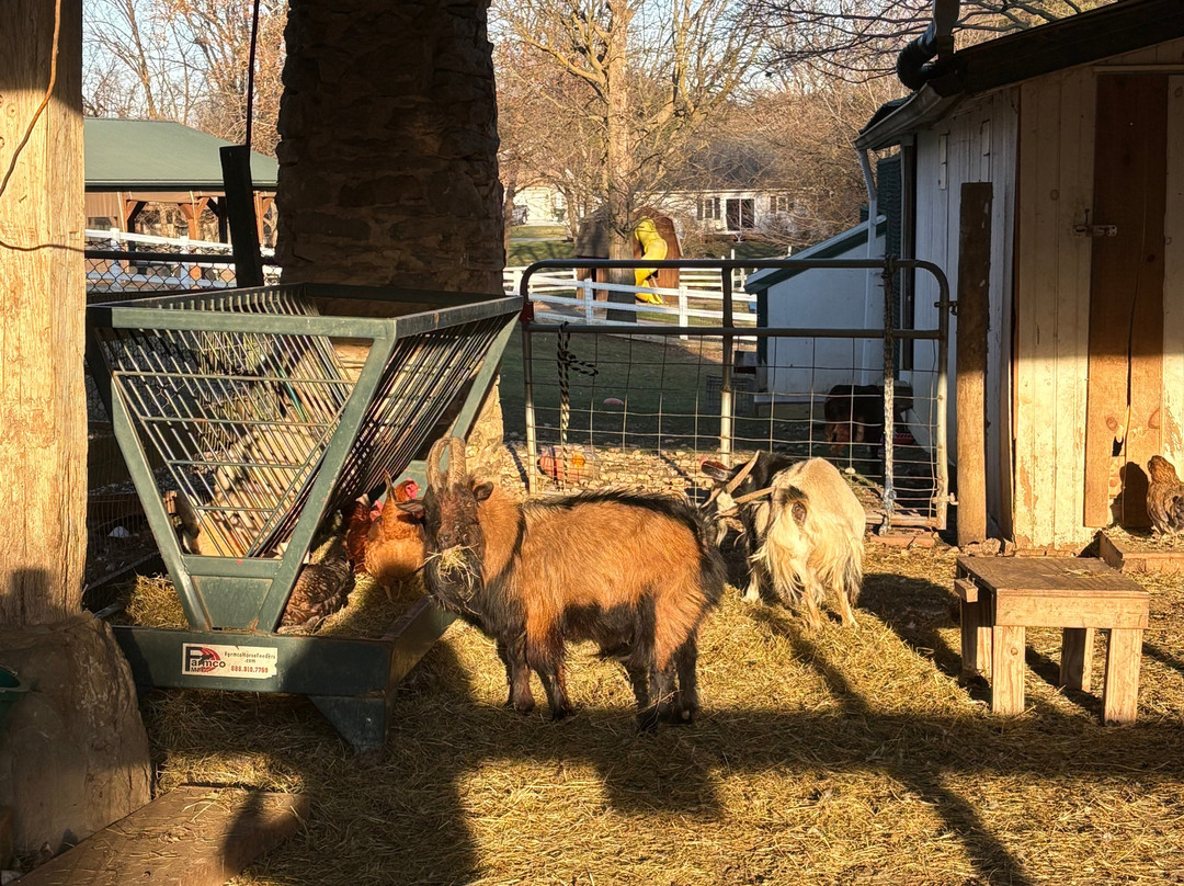 The Amish Farm And House景点图片
