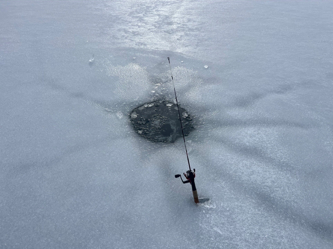 Fish Lake Resort-Eagle Point必去景点