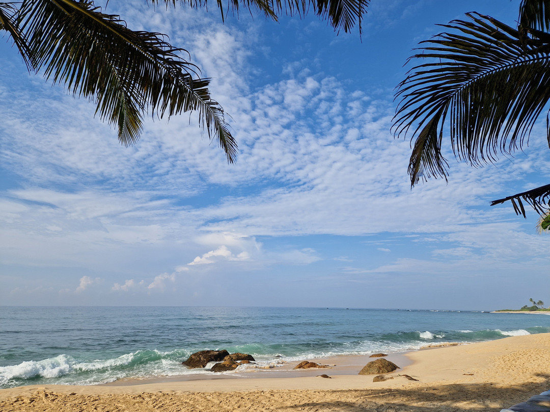 Treasure Lanka Travels-Hokandara必去景点