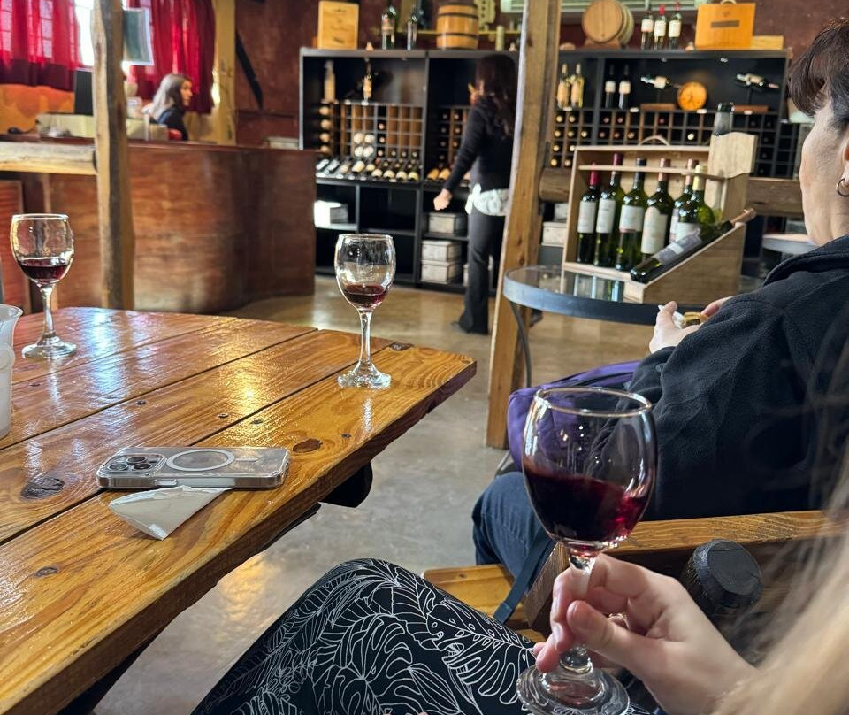 Bodega Artesanal Vina el Cerno-Maipu必去景点