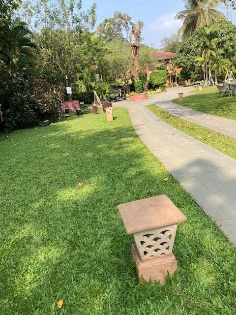 Regenta Jungle Resort Kabini Springs主图