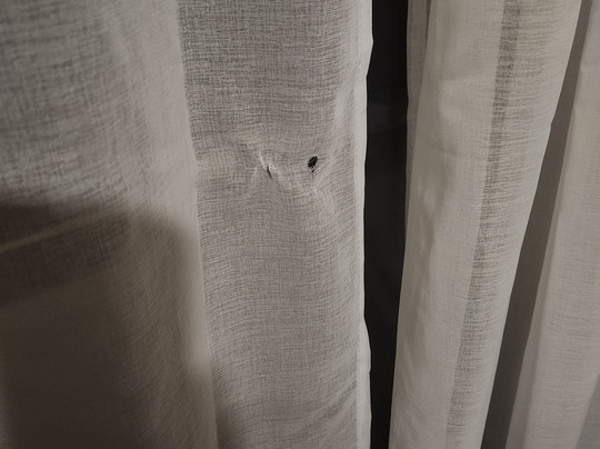 金丝门达尼丁酒店主图