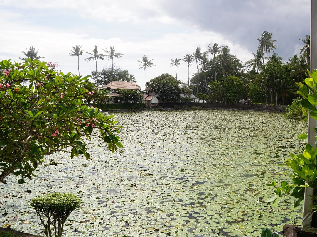 Lotus Lagoon-甘地达萨必去景点