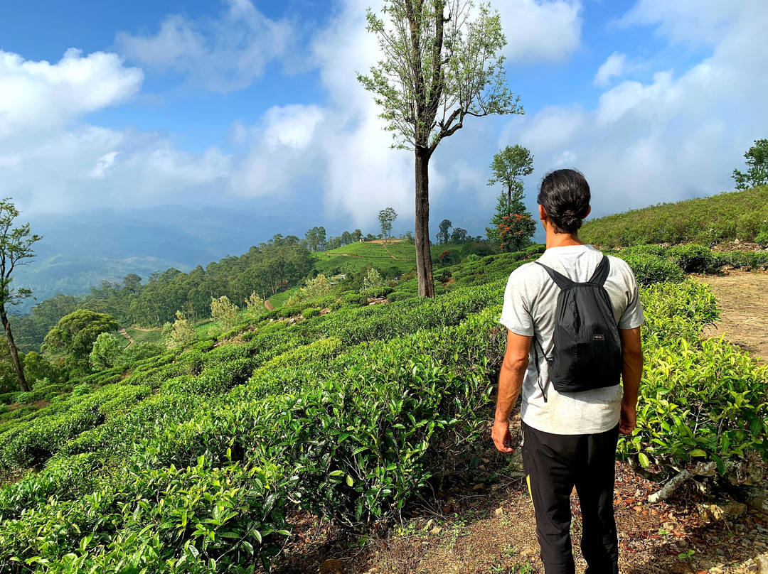 Narangala Mountainous Tourism With Robinson's Path-Badulla必去景点