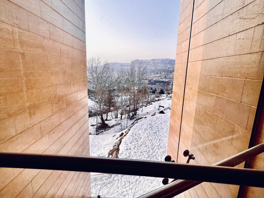 Austria Luxury Apartments主图