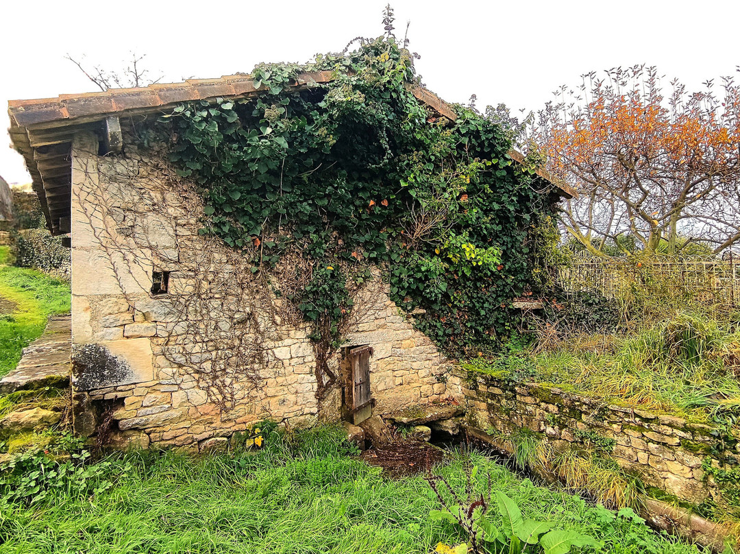 Lavoir De Verrière景点图片