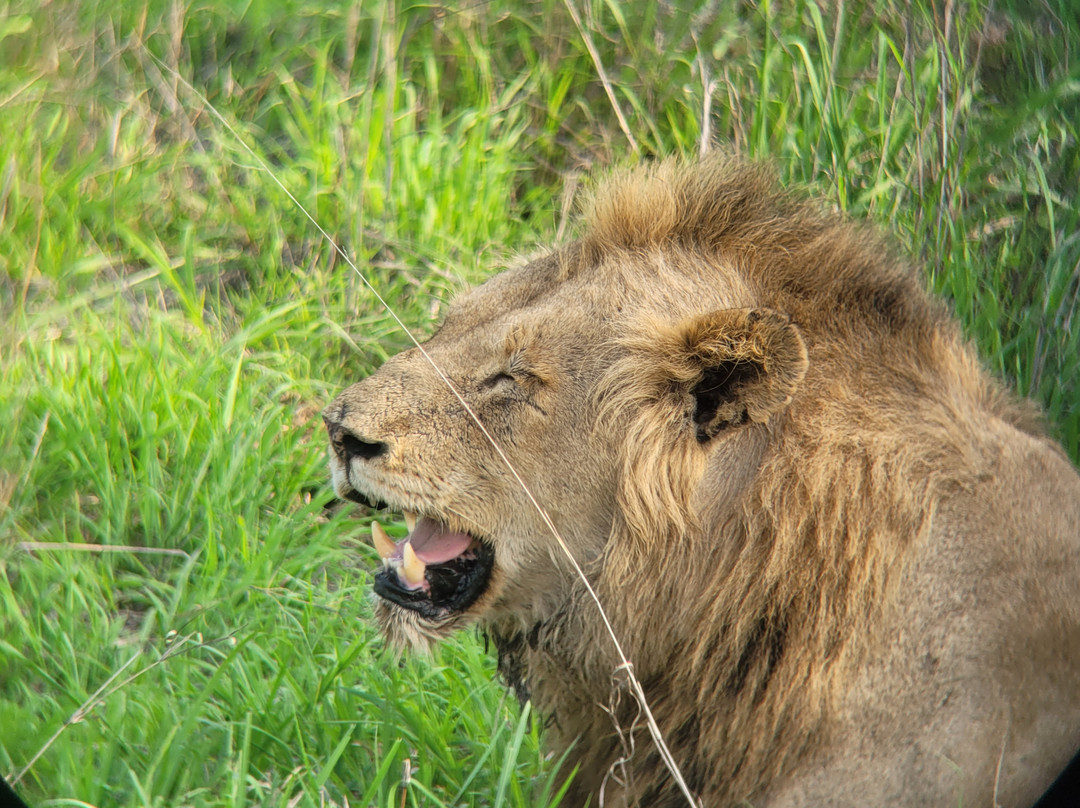 Afroventures Tours & Safaris景点图片