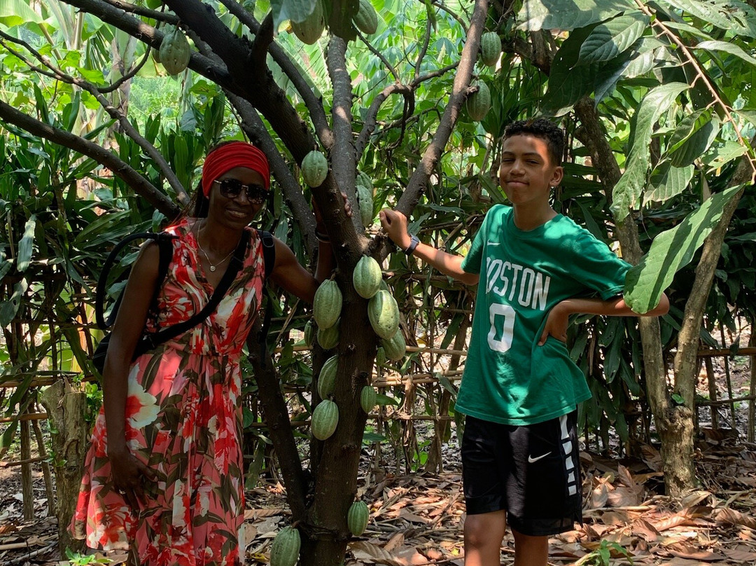 Mugenyi Eco Tours-Rubirizi必去景点