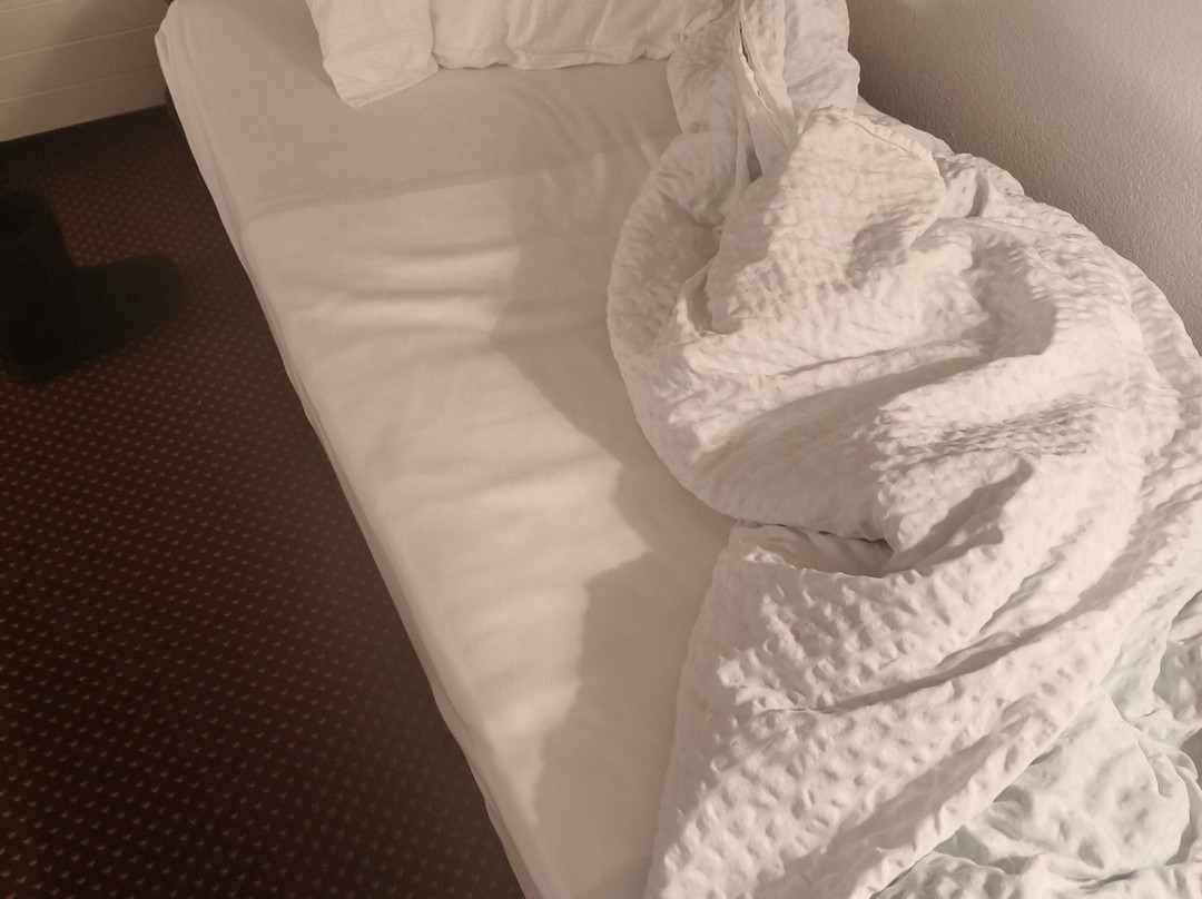 Hotel de la Foret主图