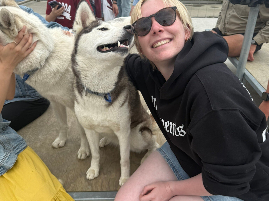 Timberline Racing Siberian Huskies景点图片