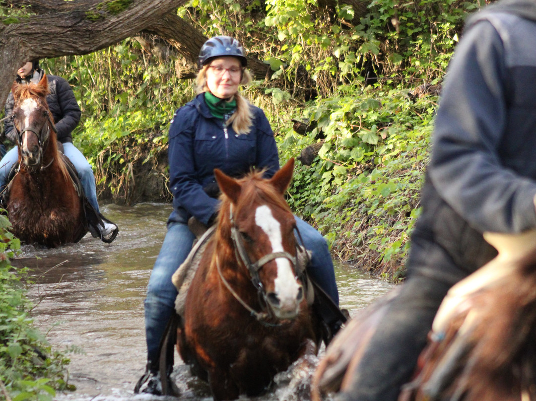 Sea Horse Ranch-半月湾必去景点