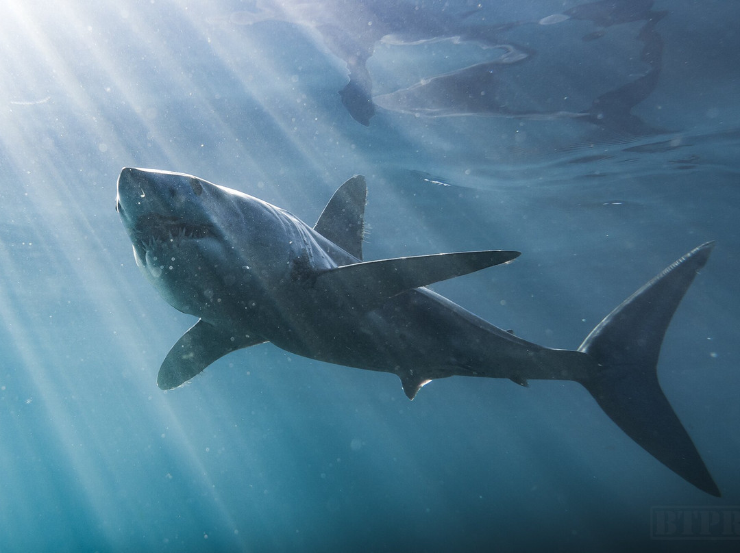 Baja Wild Encounters-La Ventana必去景点