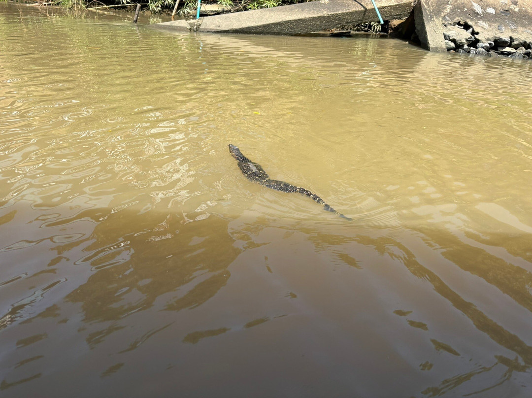 Nutty's Adventures-大城必去景点