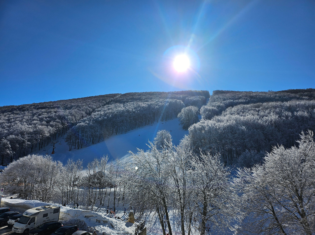 Hotel Ti Bionda Suisse主图