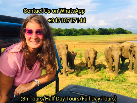 Udawalawe HALF DAY Safari Tours & Taxi Service-乌达瓦拉瓦必去景点