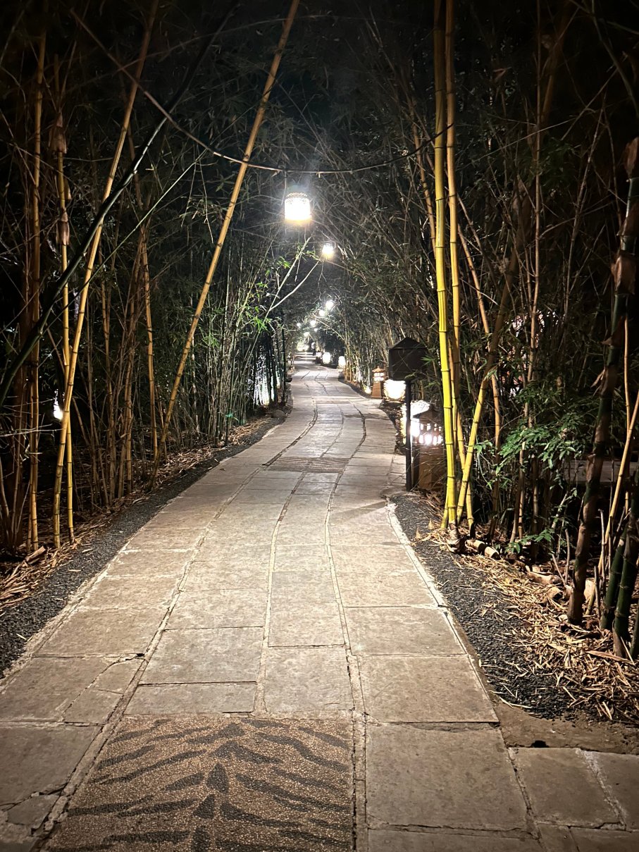 The Bamboo Forest Safari Lodge-浴室