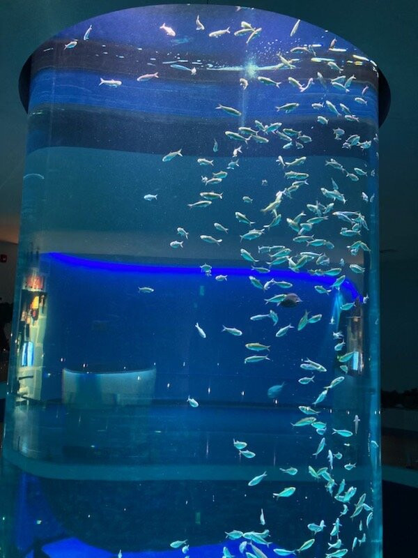 Mississippi Aquarium景点图片