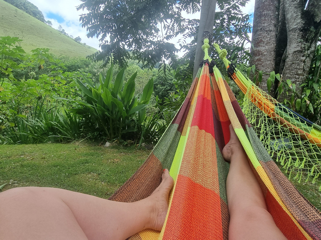 Bruxinhas do Mato-Sao Francisco Xavier必去景点