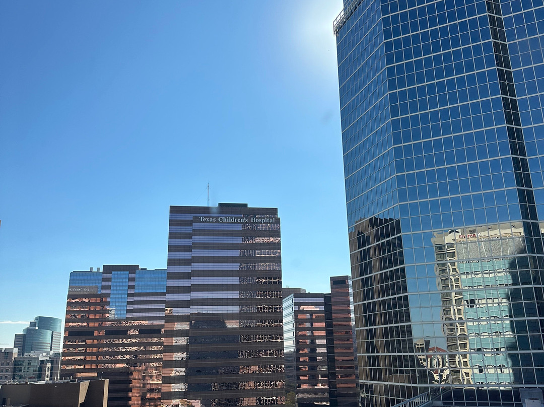 The Westin Houston Medical Center/Museum District主图