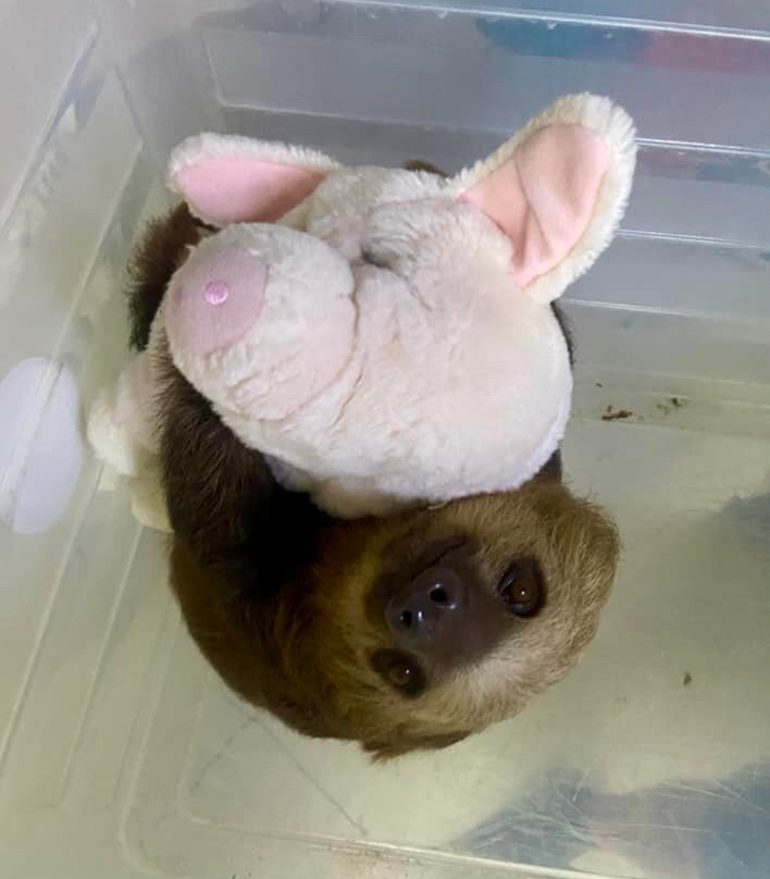 Rescue Center Costa Rica-阿拉辉拉必去景点