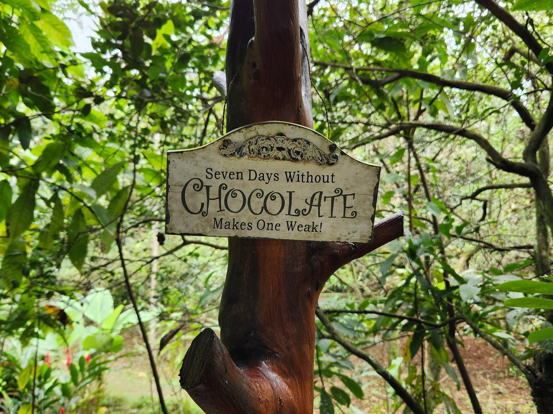 Two Little Monkeys Chocolate Tour景点图片