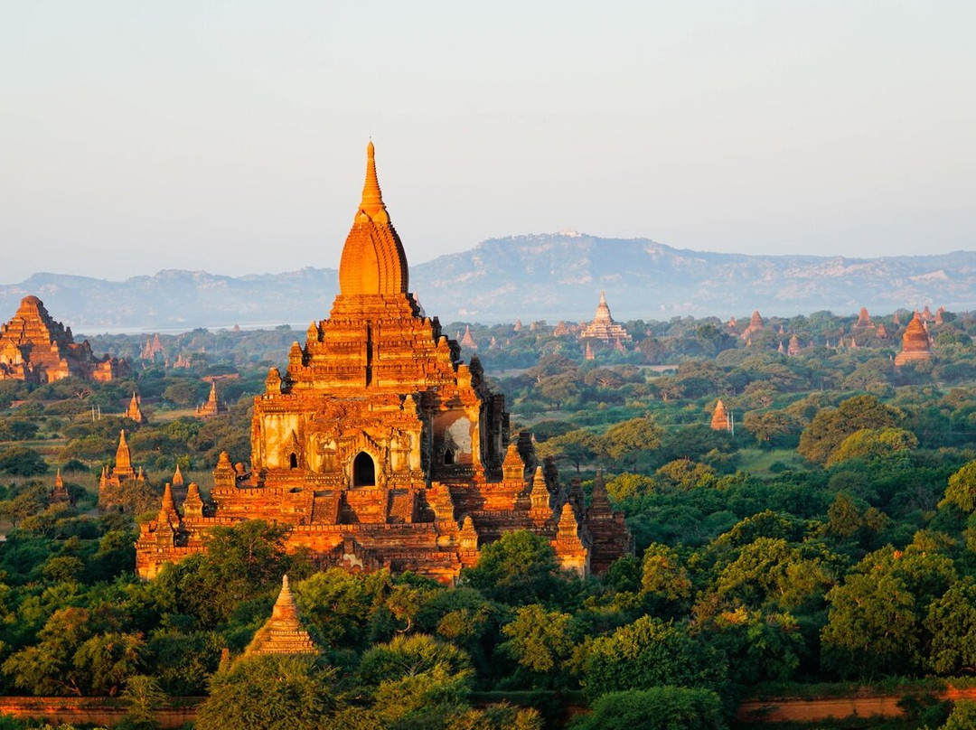 Peacock Travels & Tours-仰光必去景点