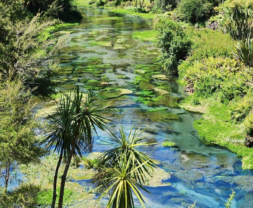 Blue Spring-普塔鲁鲁必去景点