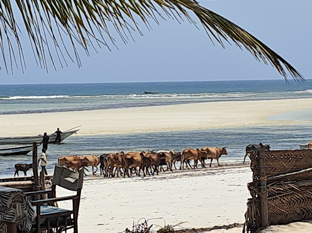 Sawa Sawa Beach House主图