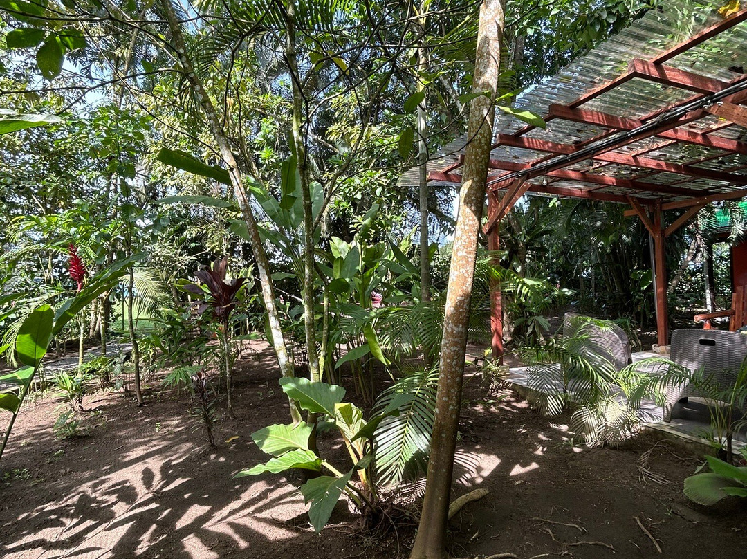 Aracari Garden Hostel主图