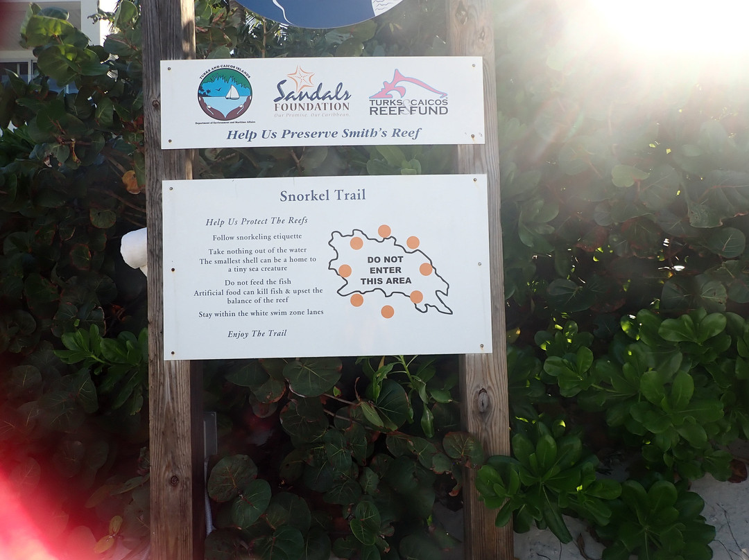 Smith's Reef-特克斯和凯科斯必去景点