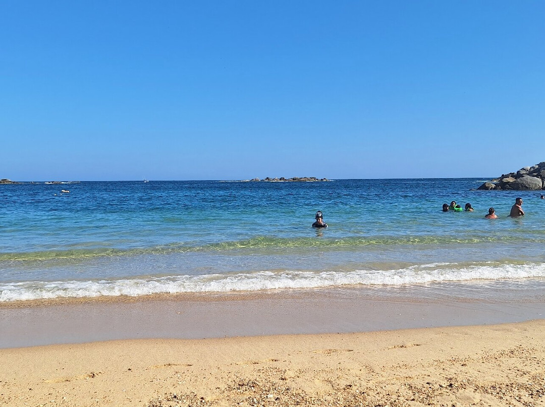 Playa Arrocito景点图片