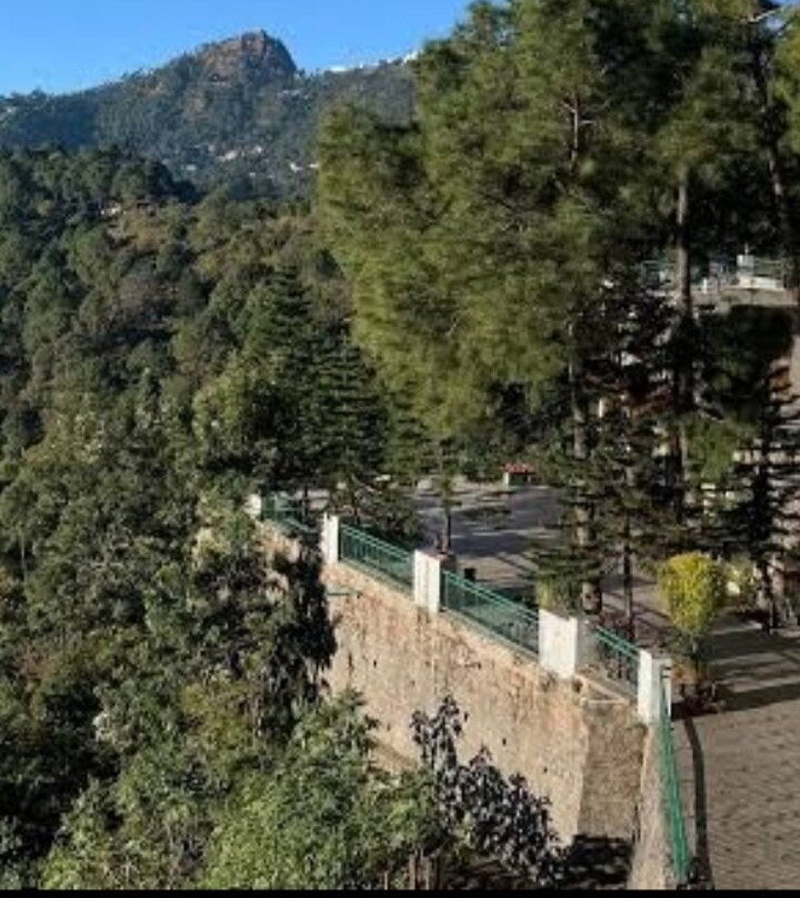 Forest Ville Hotel & Resort主图