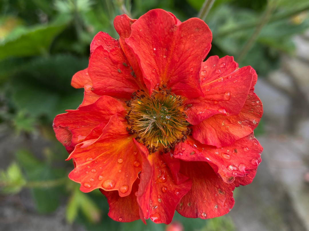 Newlands Lodge主图