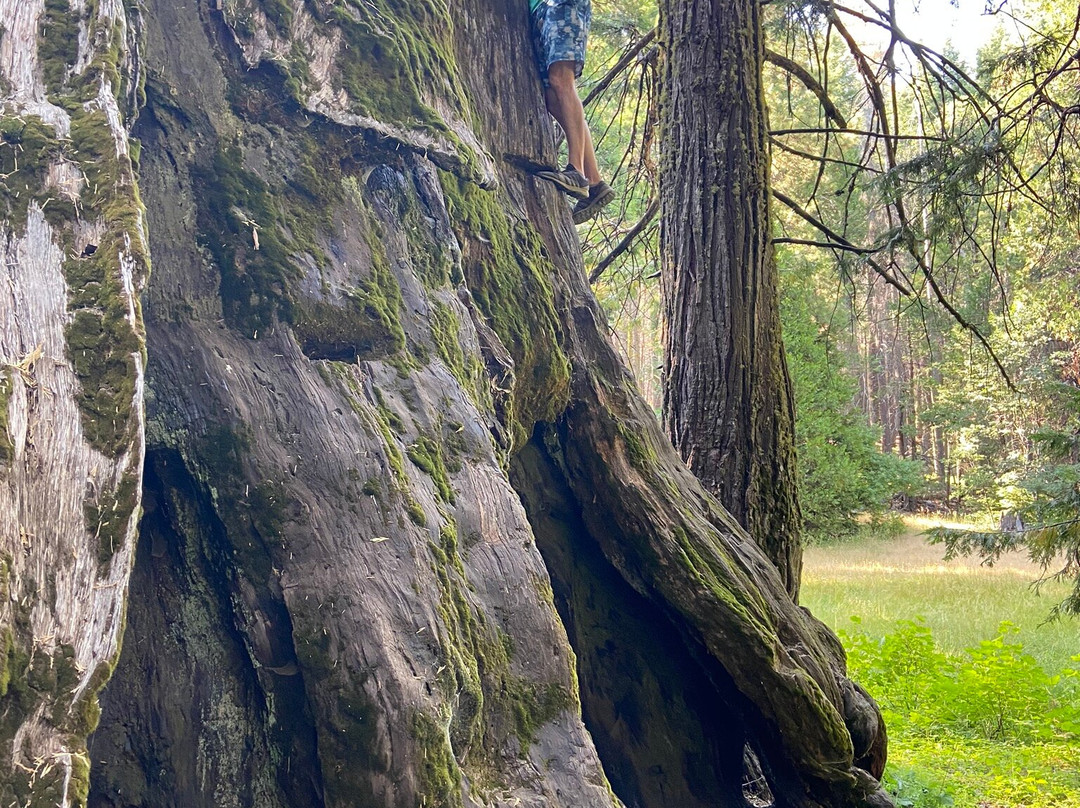 内尔德格罗夫-马德拉必去景点