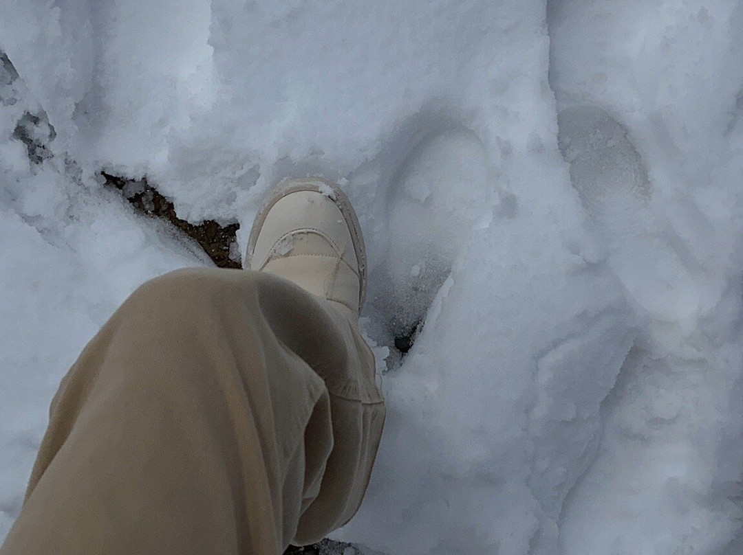 Chacaltaya Ski Resort-Milluni必去景点