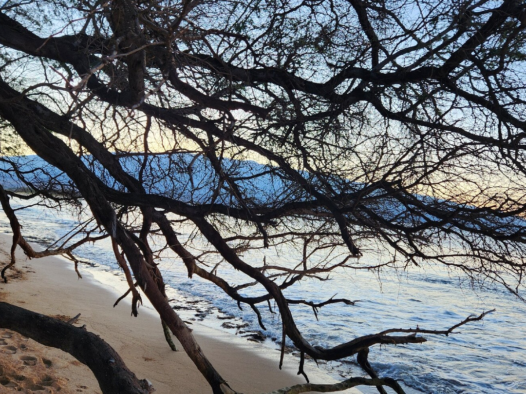 Haycraft Park-玛阿拉也亚必去景点