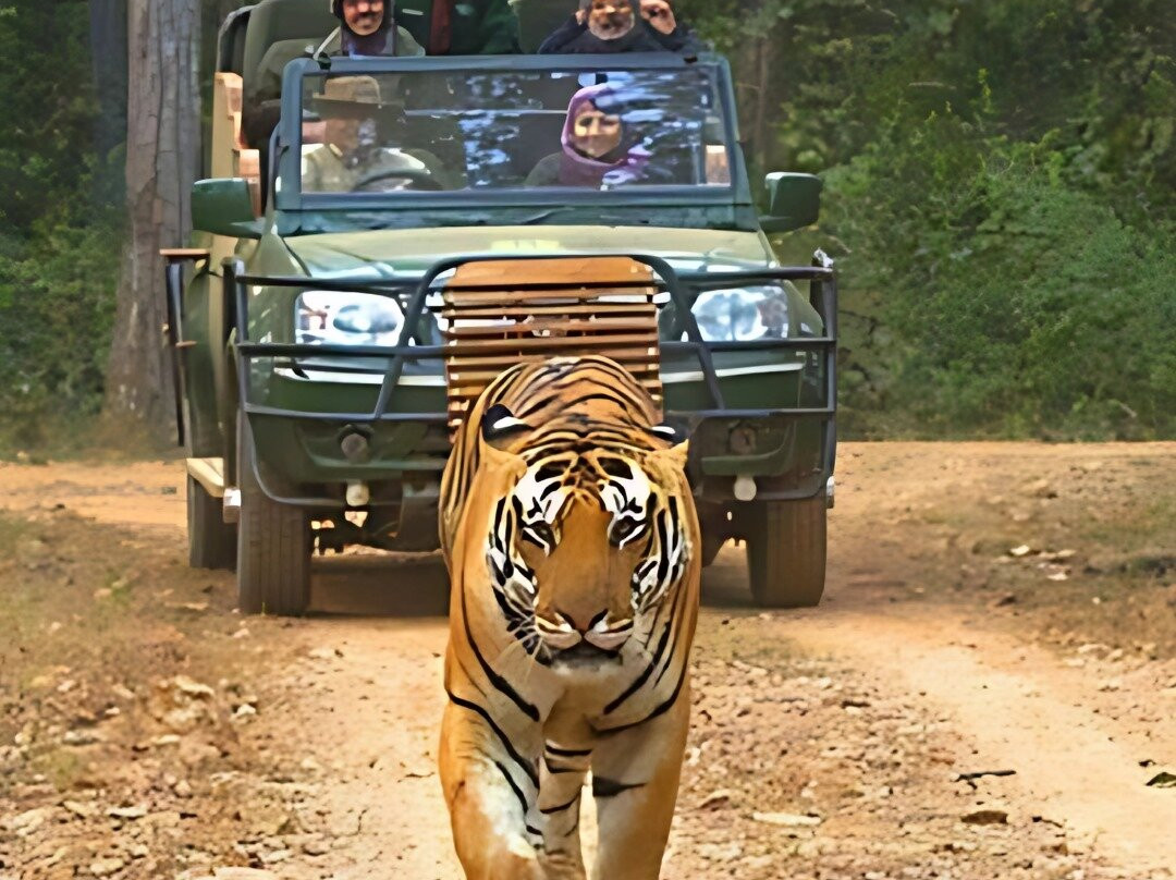 Kanha National Park景点图片