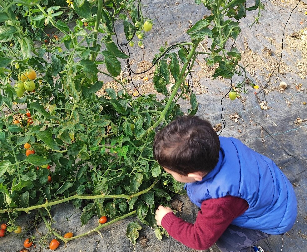 Ktofoti-Beit Lechem Haglilit必去景点