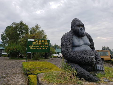 Volcanoes National Park Head Quarters-Kinigi必去景点