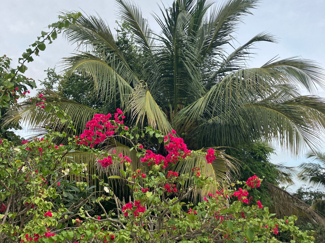 Nilaveli Ayurveda Gesundheitszentrum主图