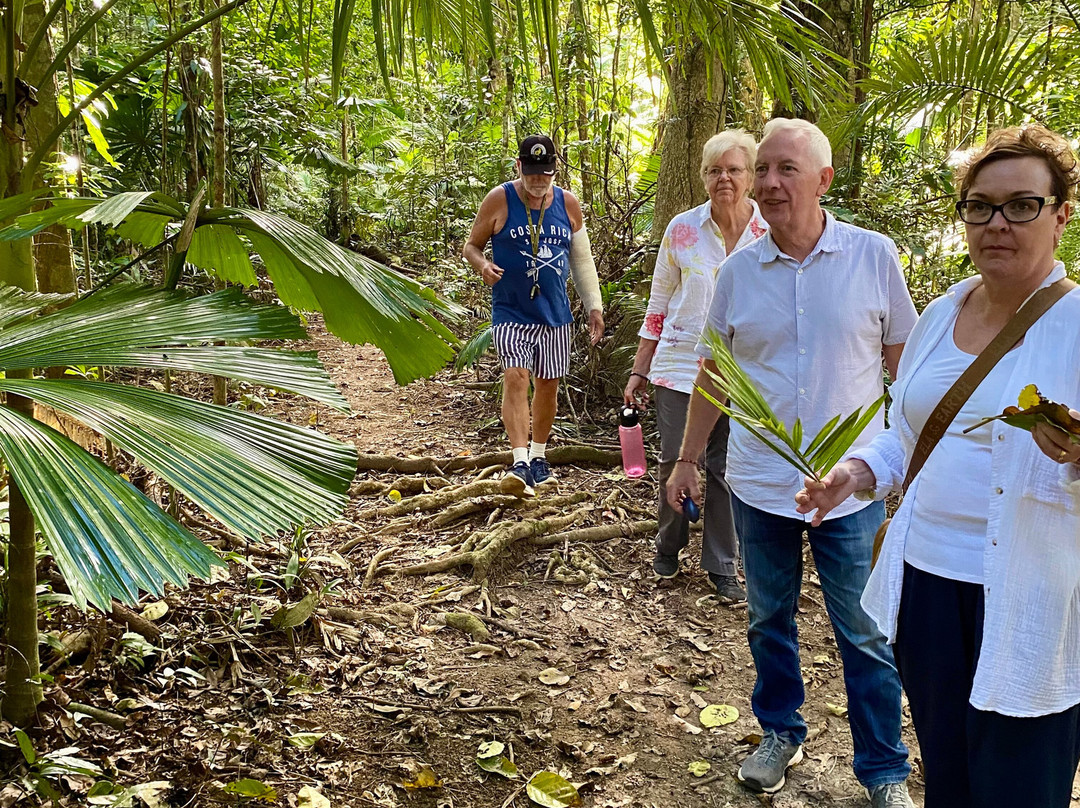 Daintree Siesta主图