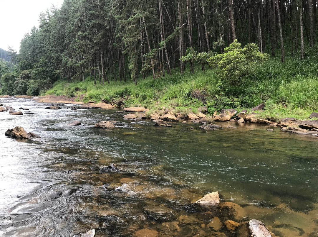 Singing Rivers-Nawalapitiya必去景点