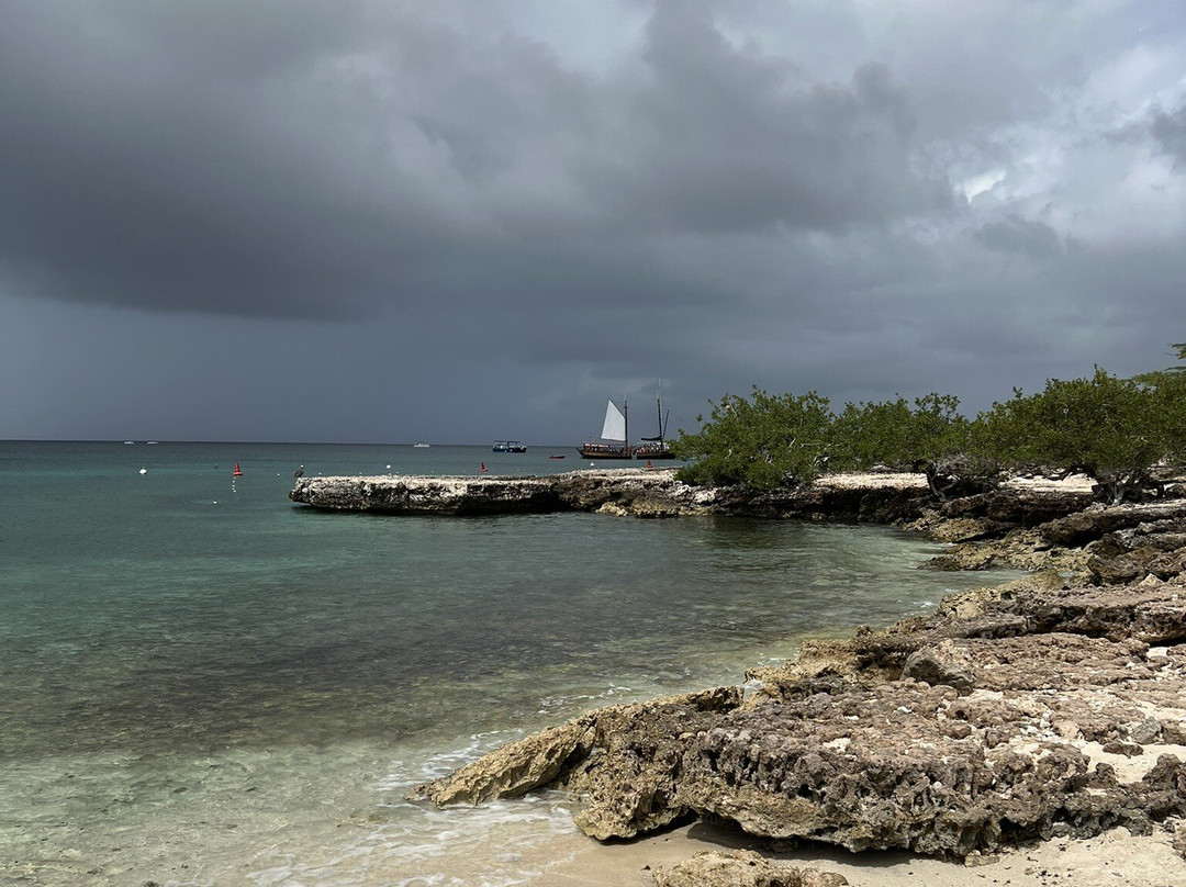 Malmok Reef-棕榈/鹰海滩必去景点