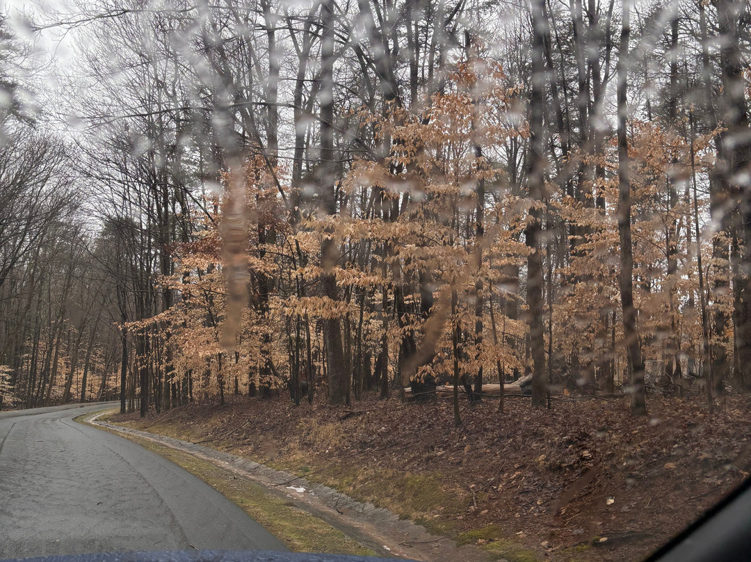 Guilford Courthouse National Military Park景点图片