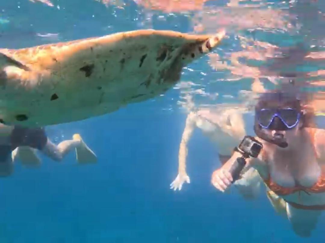 Blue Lagoon Snorkeling Ceningan-努沙切宁安岛必去景点