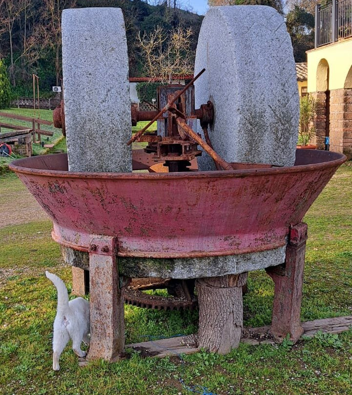 Agriturismo Il Casaletto主图