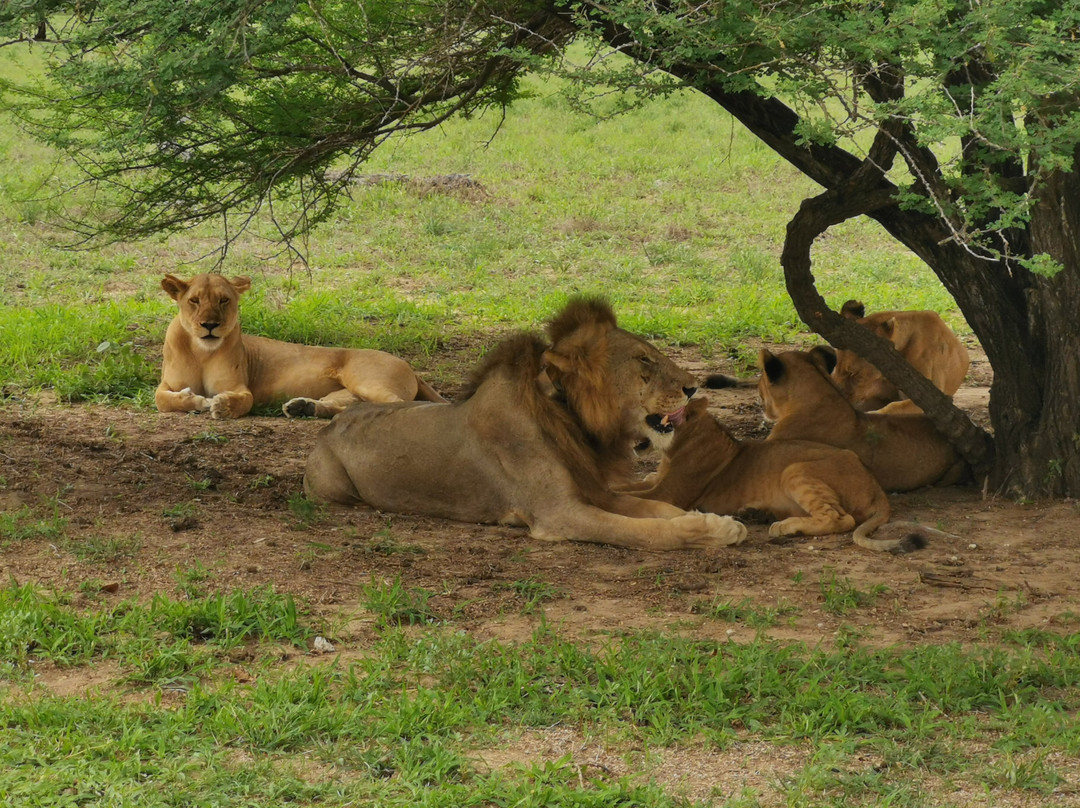 Hello Tanzania-Dar es Salaam必去景点
