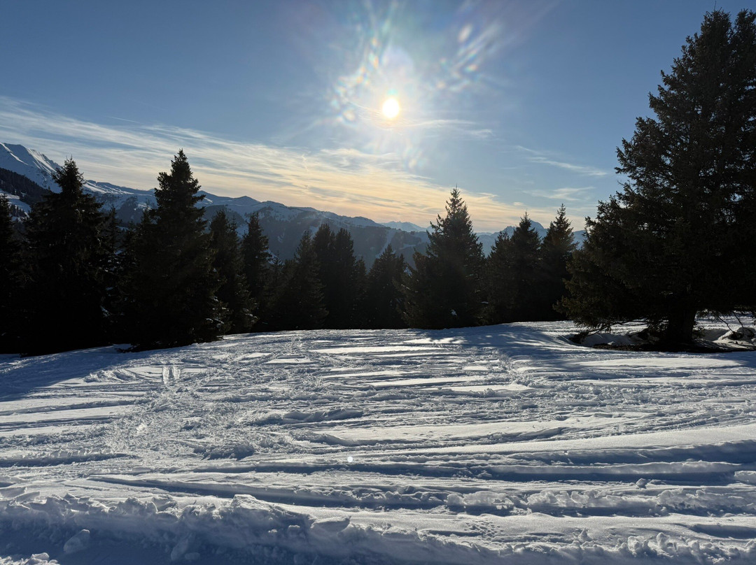 Ski Area Saint Gervais Mont Blanc景点图片